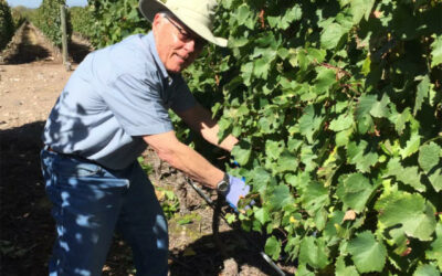 WINE TIME WITH TOM GABLE