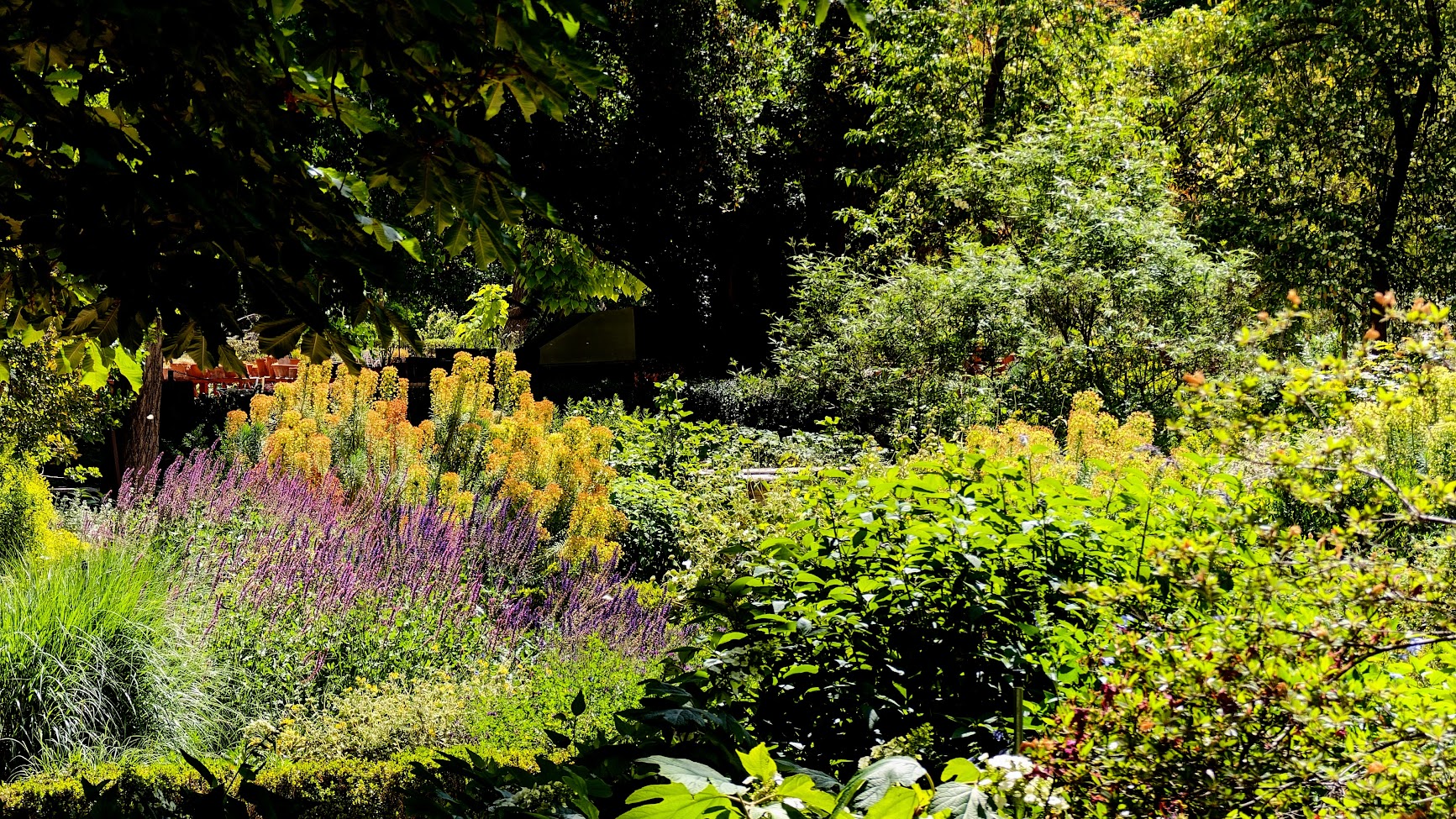 Royal Botanical Garden of Madrid