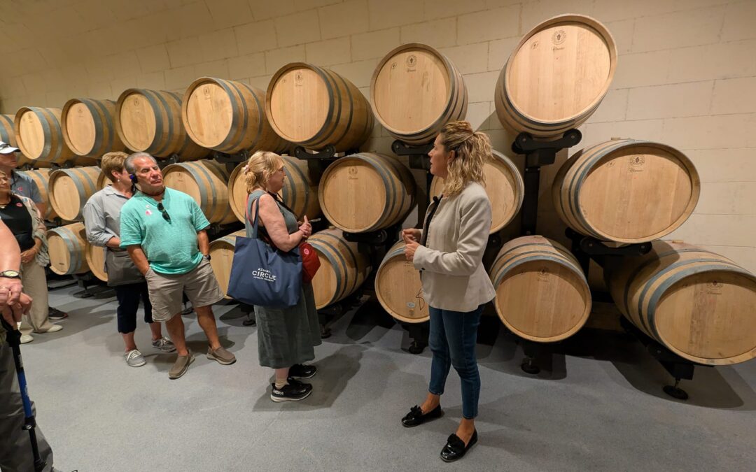 Discovering Maltese Heritage in Every Sip: Wine Tasting at Ta’ Betta Wine Estates